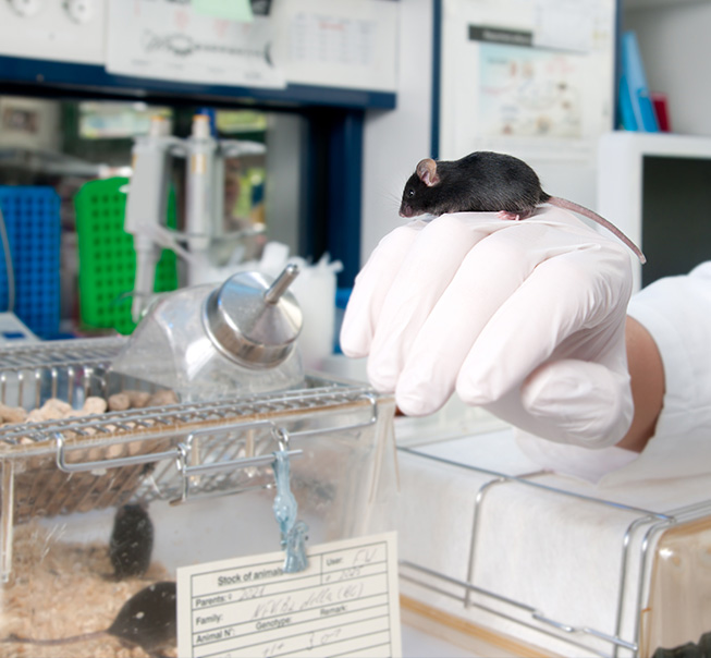Laboratory Animal Research Facilities